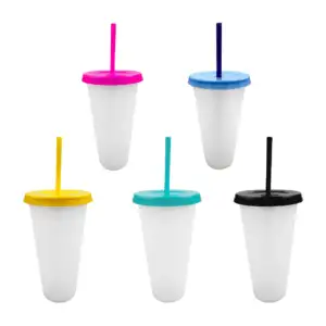 Vaso grande de plástico translúcido con tapadera y popote liso, varie…