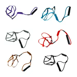 Juego de correa y pechera ajustable para mascota de talla chica, vari…