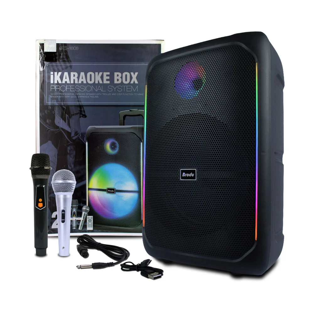 Bafle bocina con karaoke bluetooth de 12 pulgadas con 2 micrófonos, c…