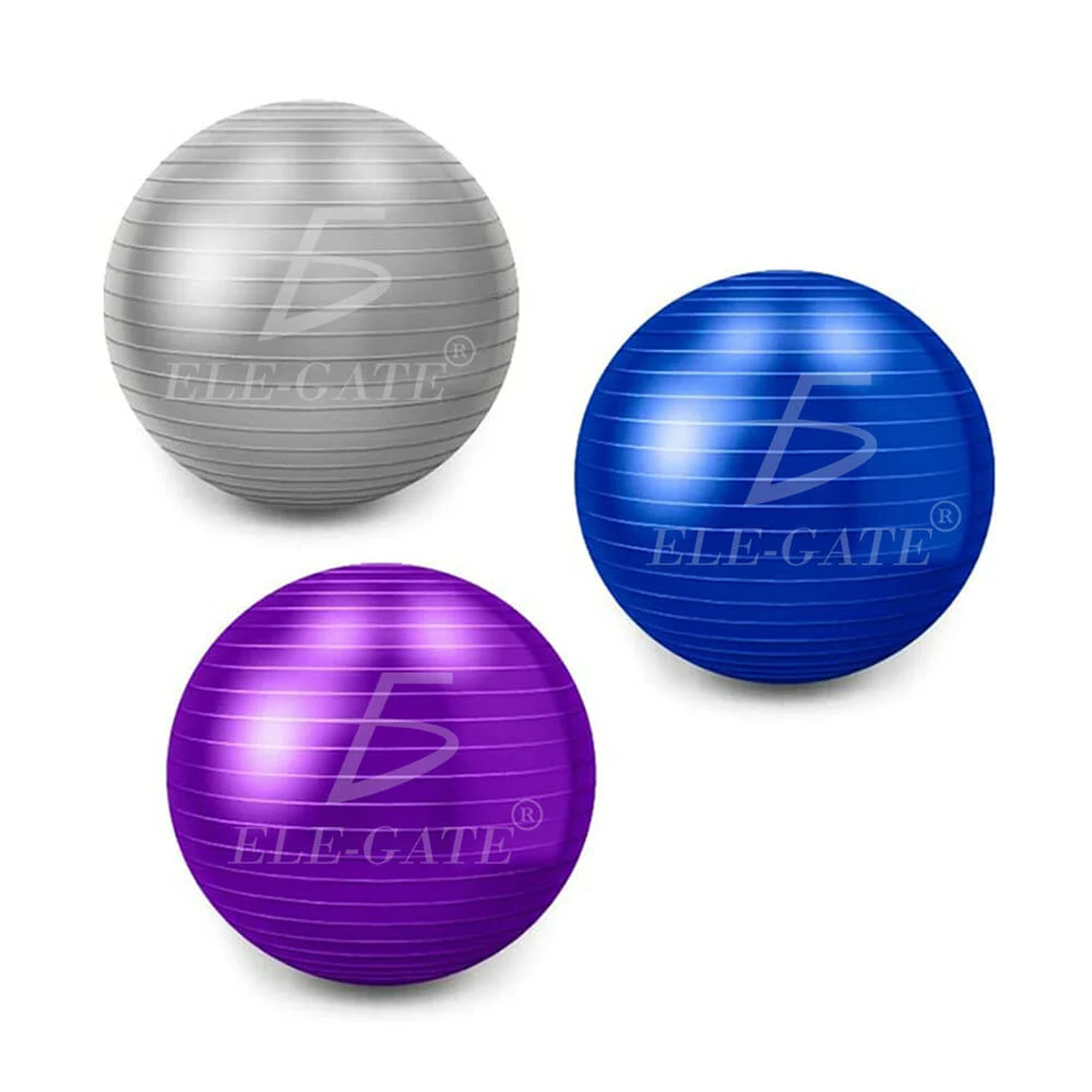 1pza Pelota ele-gate multifuncional para entrenamiento y terapia físi…