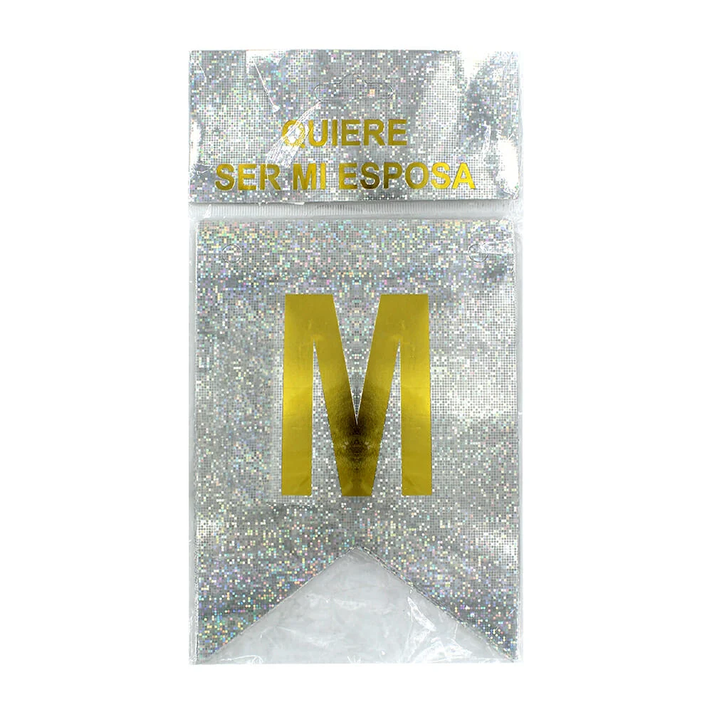 Banner banderín quiere ser mi esposa de 17 piezas con diseño holográf…