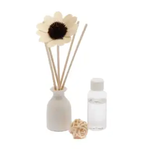 Aromatizante - difusor de fragancias decorativo en forma de florero c…