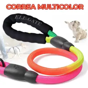 Correa chica para mascotas con mango de goma espuma en colores arcoír…