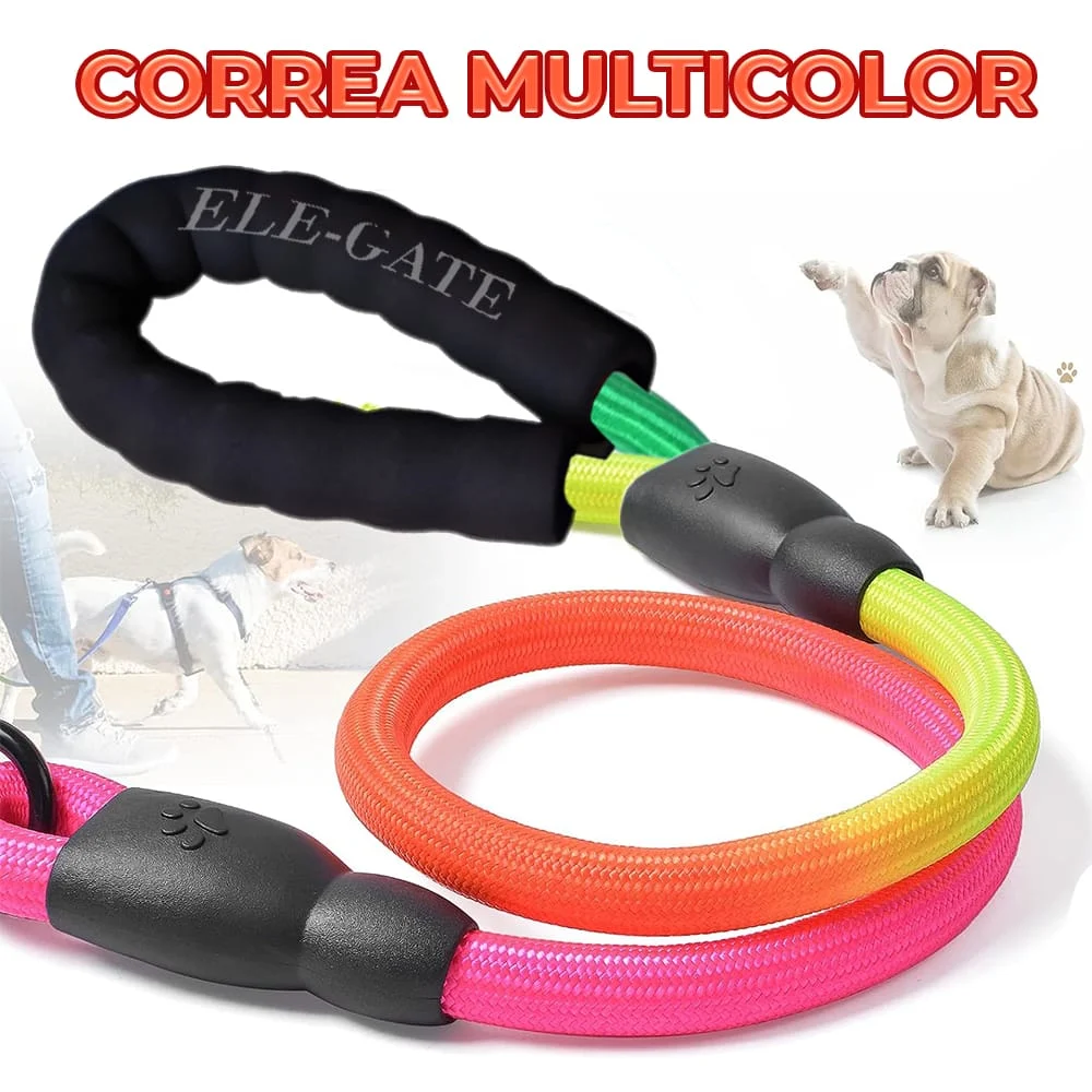 Correa chica para mascotas con mango de goma espuma en colores arcoír…
