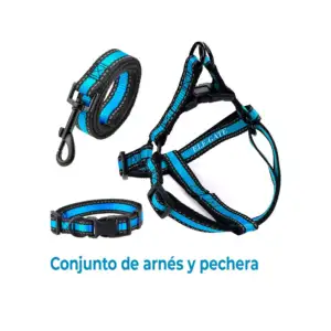 Juego de arnés con correa para mascotas pequeño de tela con franjas r…
