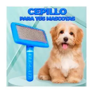 Cepillo rascador cardina con puntas protegidas para mascotas, varieda…