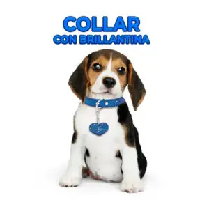Collar ajustable para mascotas con brillantina y dije de corazón tall…