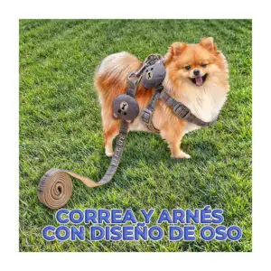 Juego de pechera ajustable con correa para mascotas con diseño de cua…