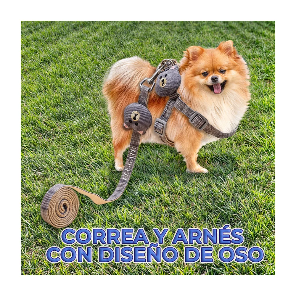 Juego de pechera ajustable con correa para mascotas con diseño de cua…