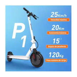 SCOOTER.P1