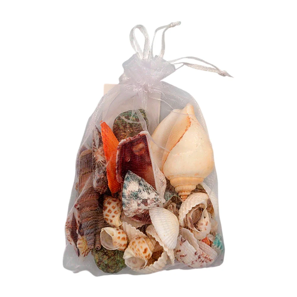 Bolsa con conchitas de mar de diversos tamaños y modelos para decorac…