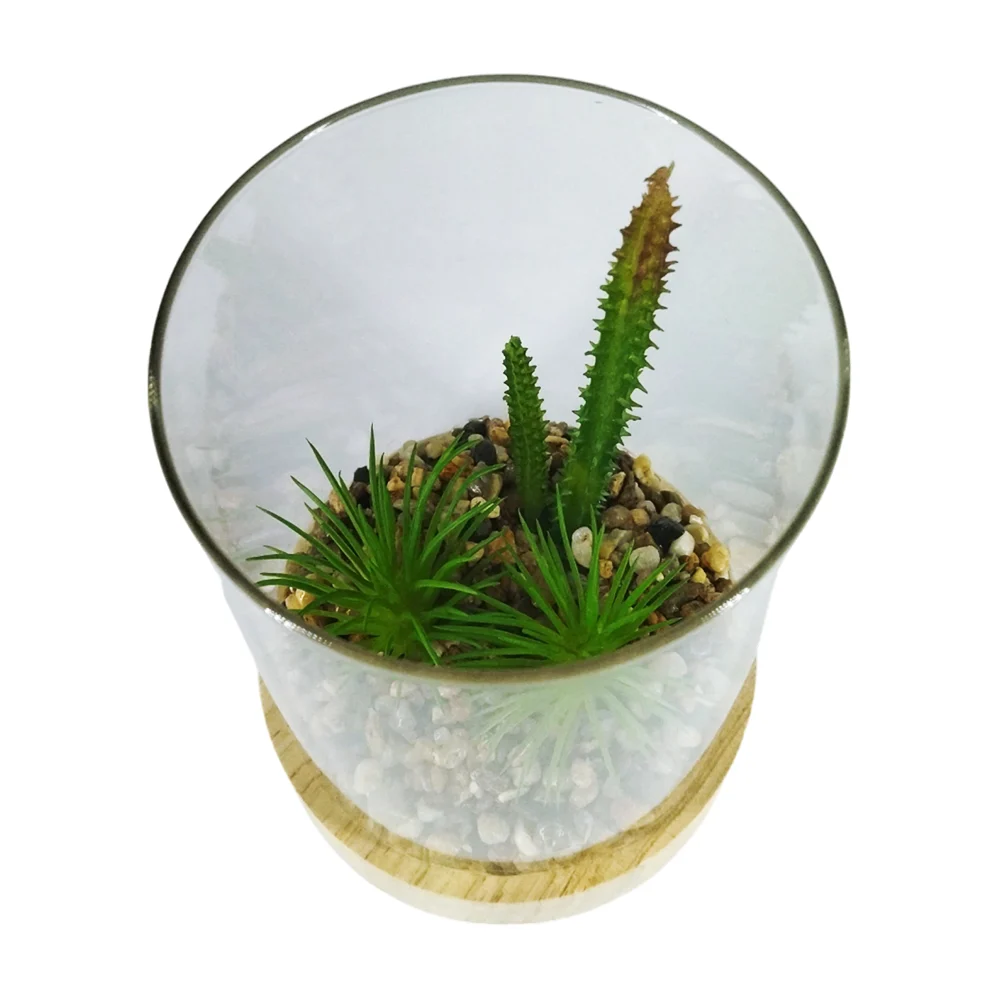 Decoración con planta artificial, contenedor transparente de vidrio, …
