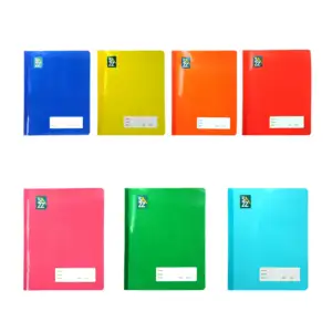 Cuaderno profesional cosido sazz con 100 hojas de raya, variedad de c…