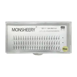 Pestañas 1x1 / estuche con fondo plateado 10mm/ monsheery q221