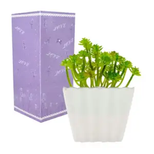 Maceta cuadrada, con planta artificial, con follaje o flores, varieda…