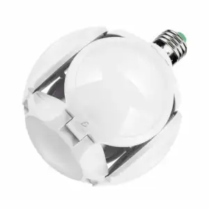 LED.19