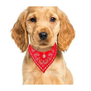 1pza Collar bandana paliacate pañuelo ajustable talla chica para masc…