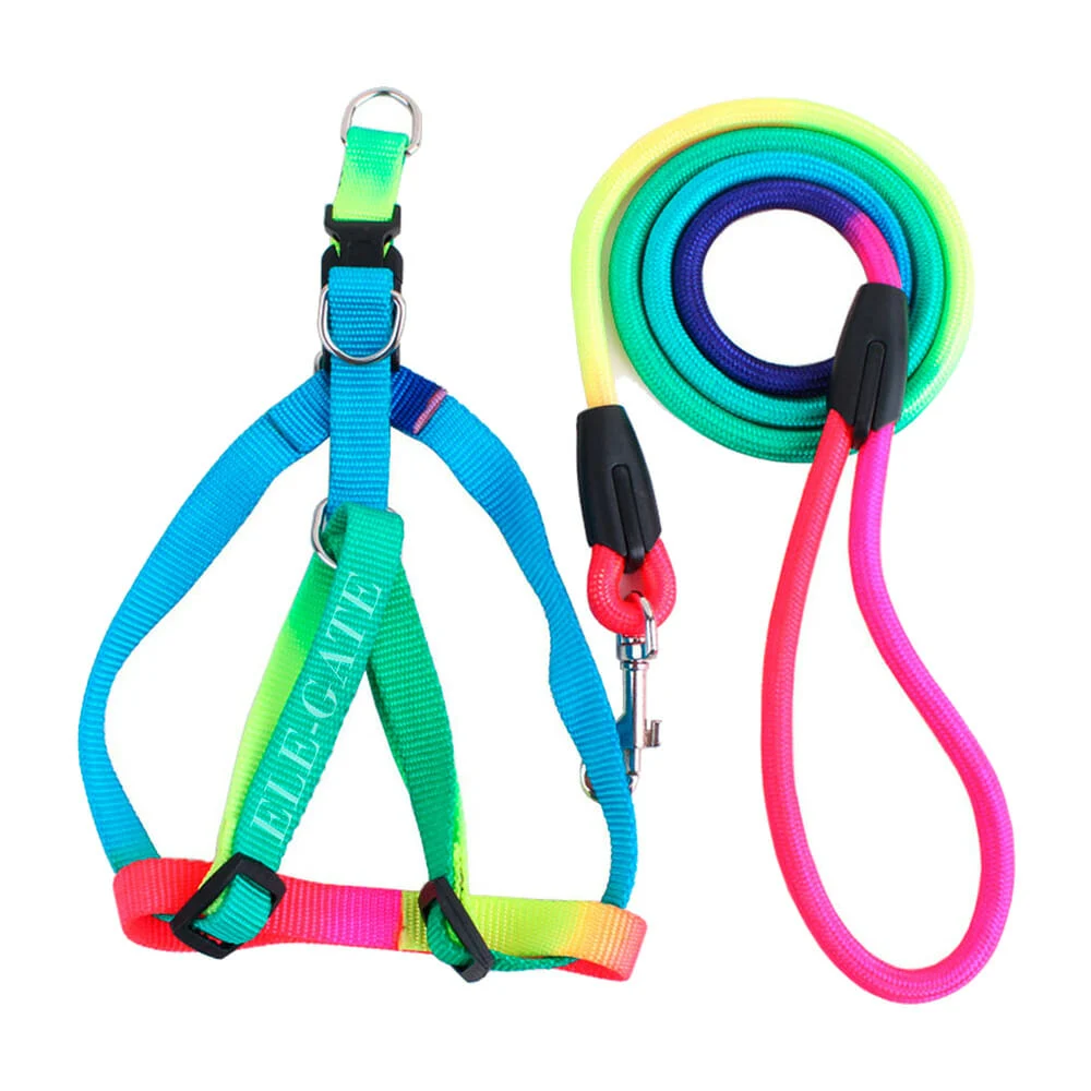 Juego con correa de 1.2 metros y pechera multicolor talla grande para…