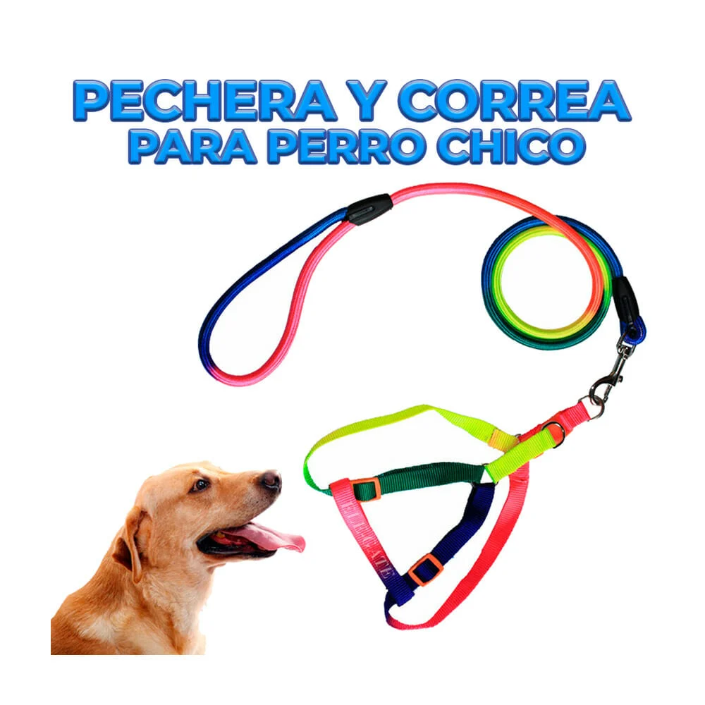 Juego con correa de 1.2 metros y pechera multicolor talla chica para …