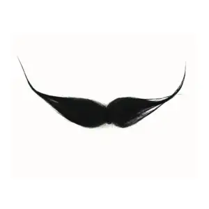BIGOTE.MX