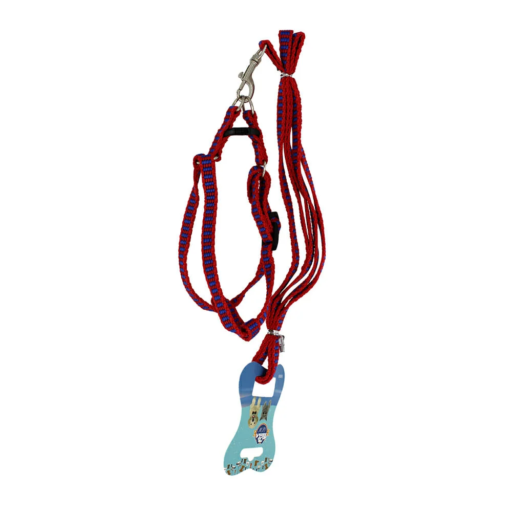 Set correa y arnés para perro pequeño con rayas jr1305