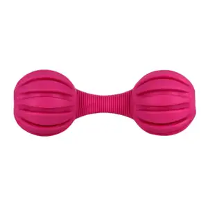 Juguete mordedera de hule para perro, variedad de colores / jr1347