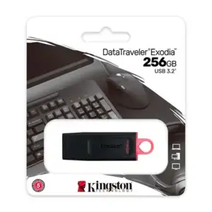 DTX256GB