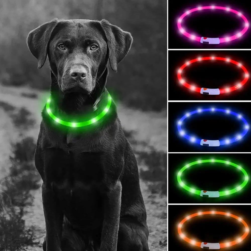 1pza Collar ajustable ele-gate talla grande 70cm con luz led para mas…