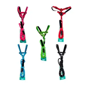 Set correa + arnés mediana broches metálicos ajustables correa circul…
