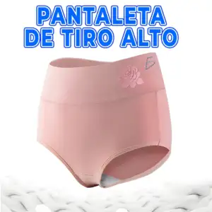 Ropa interior de cintura alta con estampado de flor para mujer, varie…
