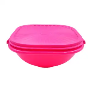 Tupper de plástico con cierre hermético y tapadera con relieve, varie…