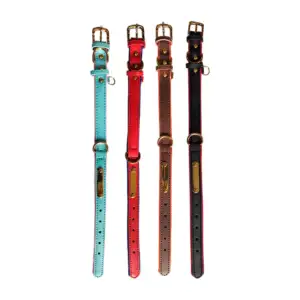 Collar ajustable bicolor talla s con placa para mascota 38cm, varieda…