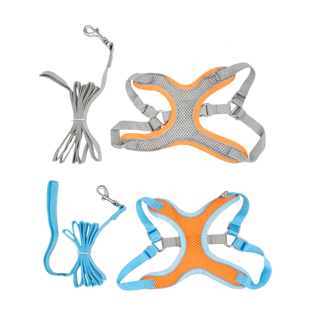 Set de correa y arnés acolchado para mascotas talla xs, color surtido…