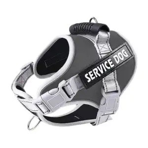 Arnés tipo pechera, ajustable talla XS, con broches de seguridad, var…
