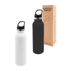 Termo botella 750ml, de acero inoxidable con taparrosca y asa, varied…