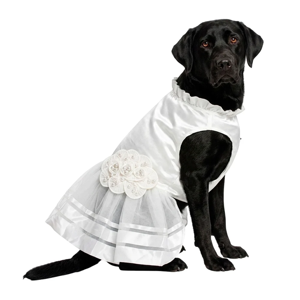 Vestido blanco de tul con perlas para mascota talla L / bf-ropa19l