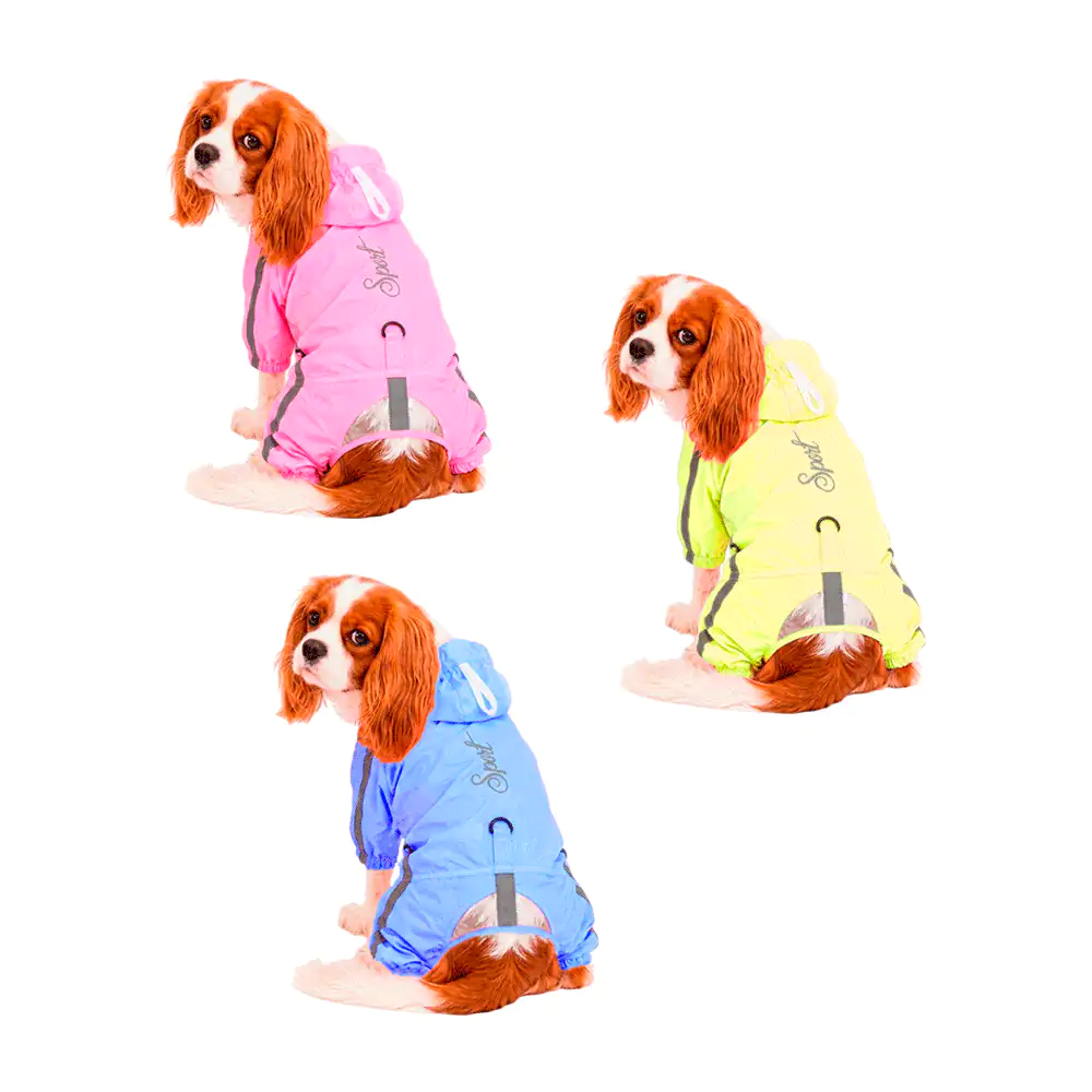 Chamarra impermeable para mascota con visera y detalles reflectantes,…