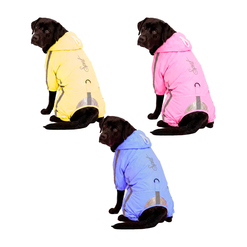 Chamarra tipo impermeable para mascota con visera transparente, talla…