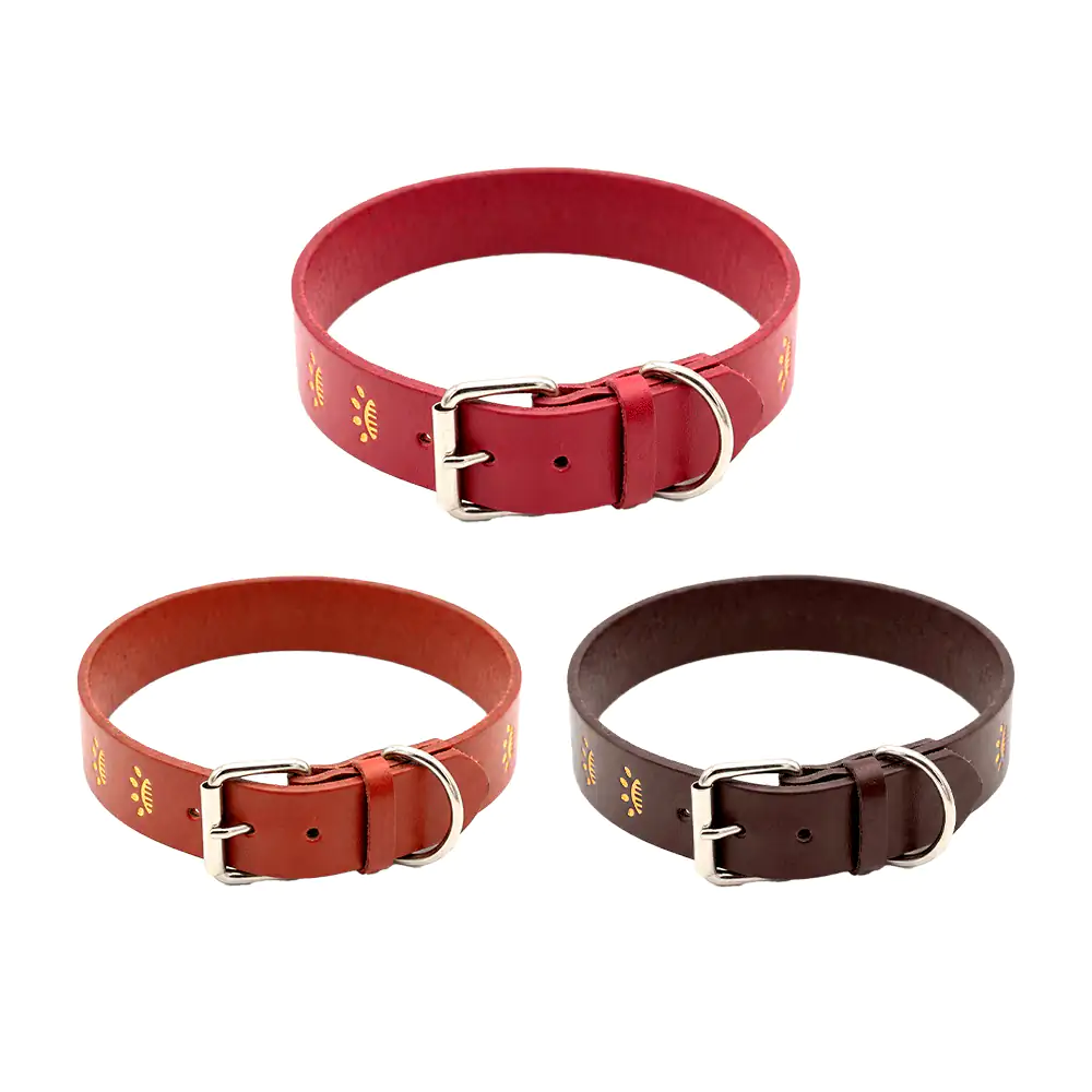 Collar para mascota tipo fajo de cuero con estampado de huellas dorad…