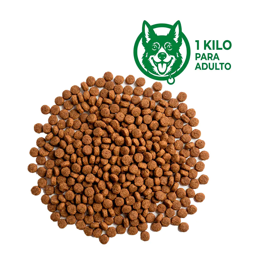 1 kilo de croquetas para perros, alimento balanceado para perros adul…