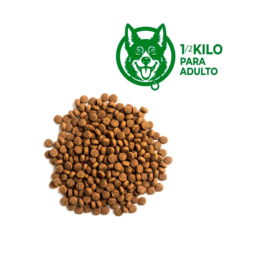Medio kilo de croquetas para perros, alimento balanceado para perros …