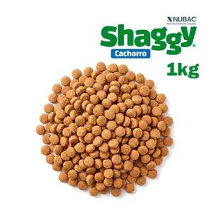 SHAGGY