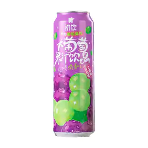 1pza lata de bebida sabor uva con pulpa natural y trozos, 500ml / 041…