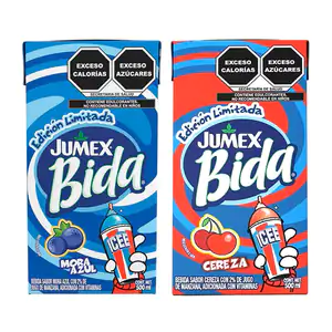 BIDA.ICEE